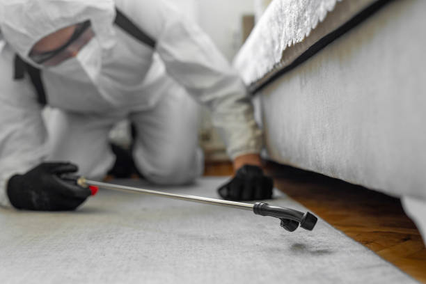 Professional Termite Control technician working in Dennison, OH