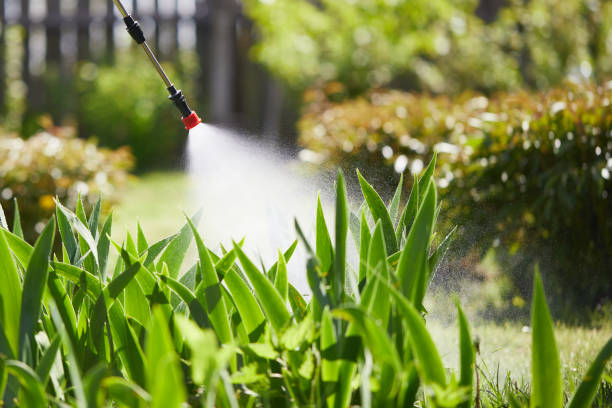 24/7 Emergency Termite Control experts in Dennison, OH