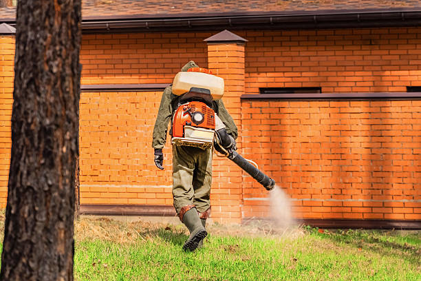 Trusted Rodent Control service in Dennison, OH - Nex Pest Control